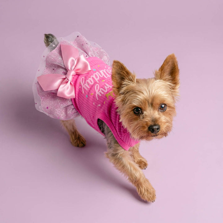 Dog wearing a pink dog birthday dress with a bow on a light purple background