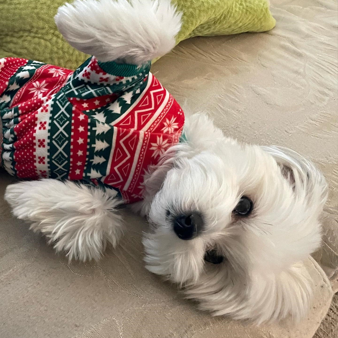 Dog Christmas Outfit Pajamas - Morkie Clothes - Fitwarm