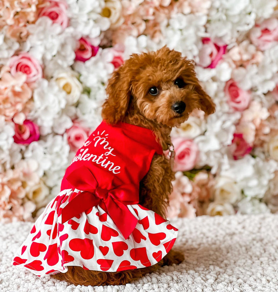 Be My Pawlentine Poodle Dress - Fitwarm