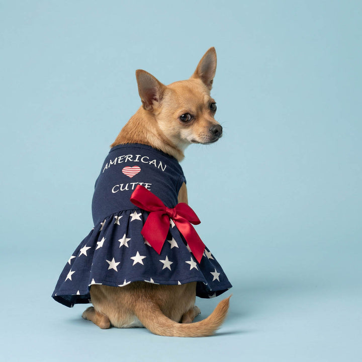 Chihuahua looks back in a American cutie dress for dogs, decorated with bow and star prints