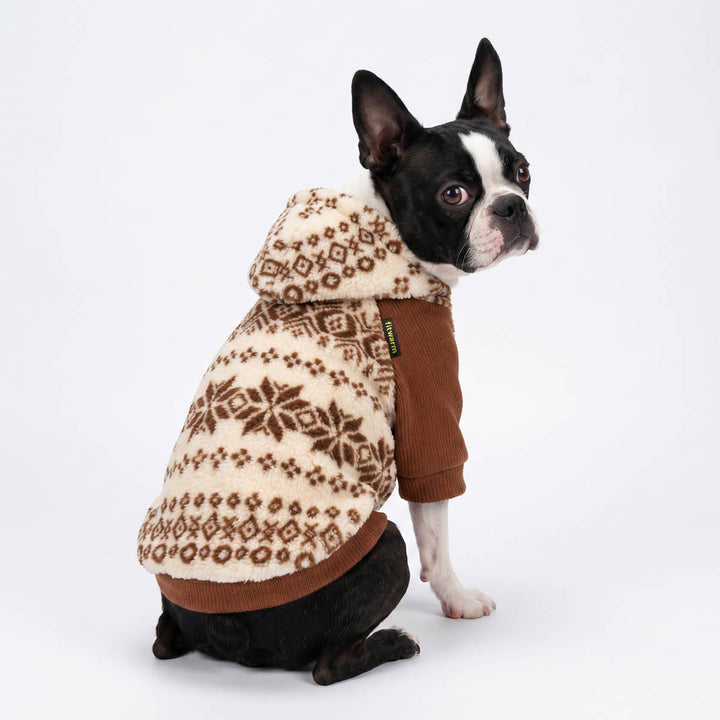 Boston Terrier wearing a dog fleece hoodie in a white background