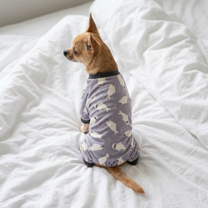 Small dog sitting on the bed with a funny seal dog pjs 