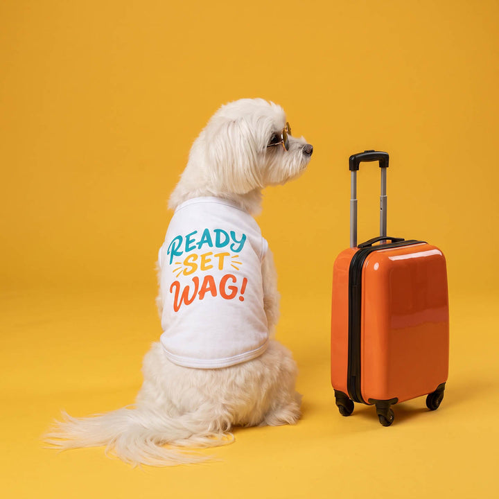 Small white dog wearing a white dog  t-shirt with the  lettering 'READY SET WAG!' sitting next to a bright orange suitcase