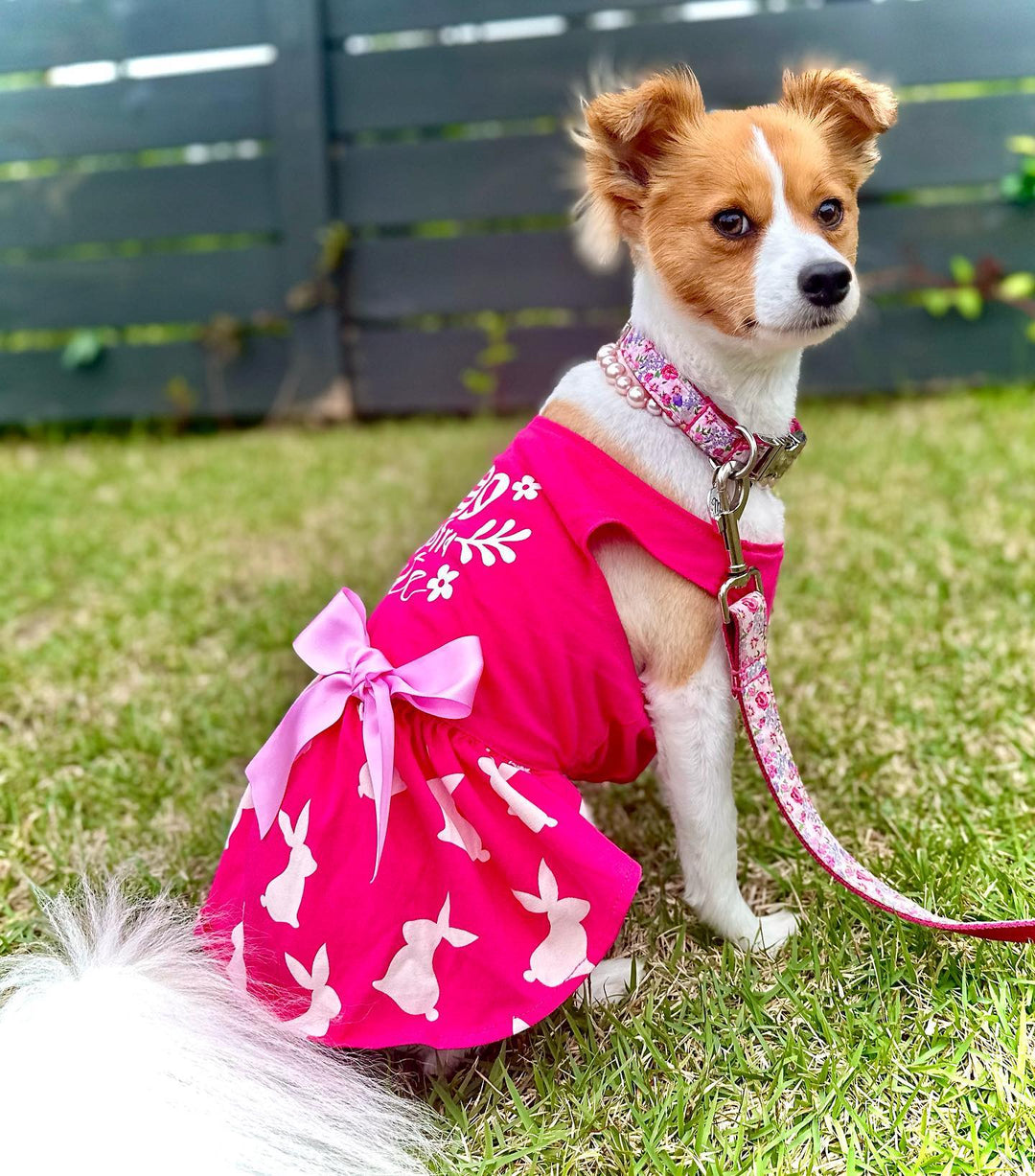 Pink Eggstra Cute Easter Dog Dress - Fitwarm Dog Dress