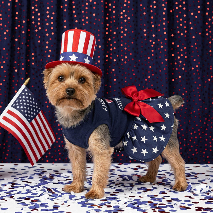 Dog wearing a patriotic dog dress with an American flag hat and vest, standing in front of a similarly themed backdrop