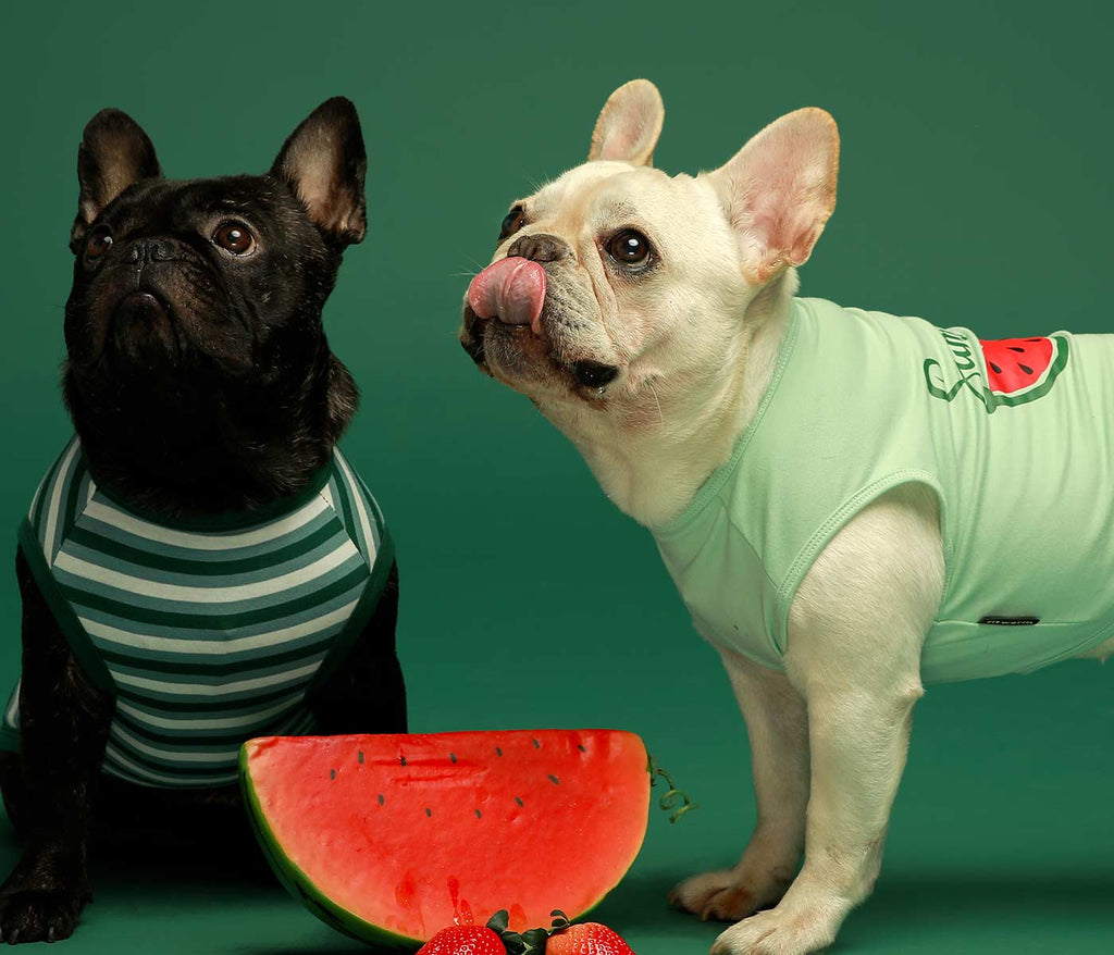 2-Pack Watermelon French Bulldog Shirts - Fitwarm