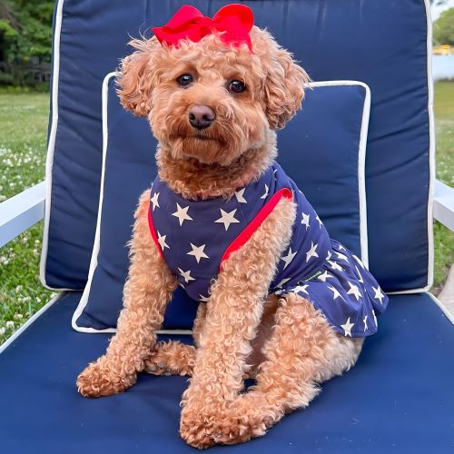 Fourth of July Dog Clothes - 4th of July Dog Clothes - Fitwarm