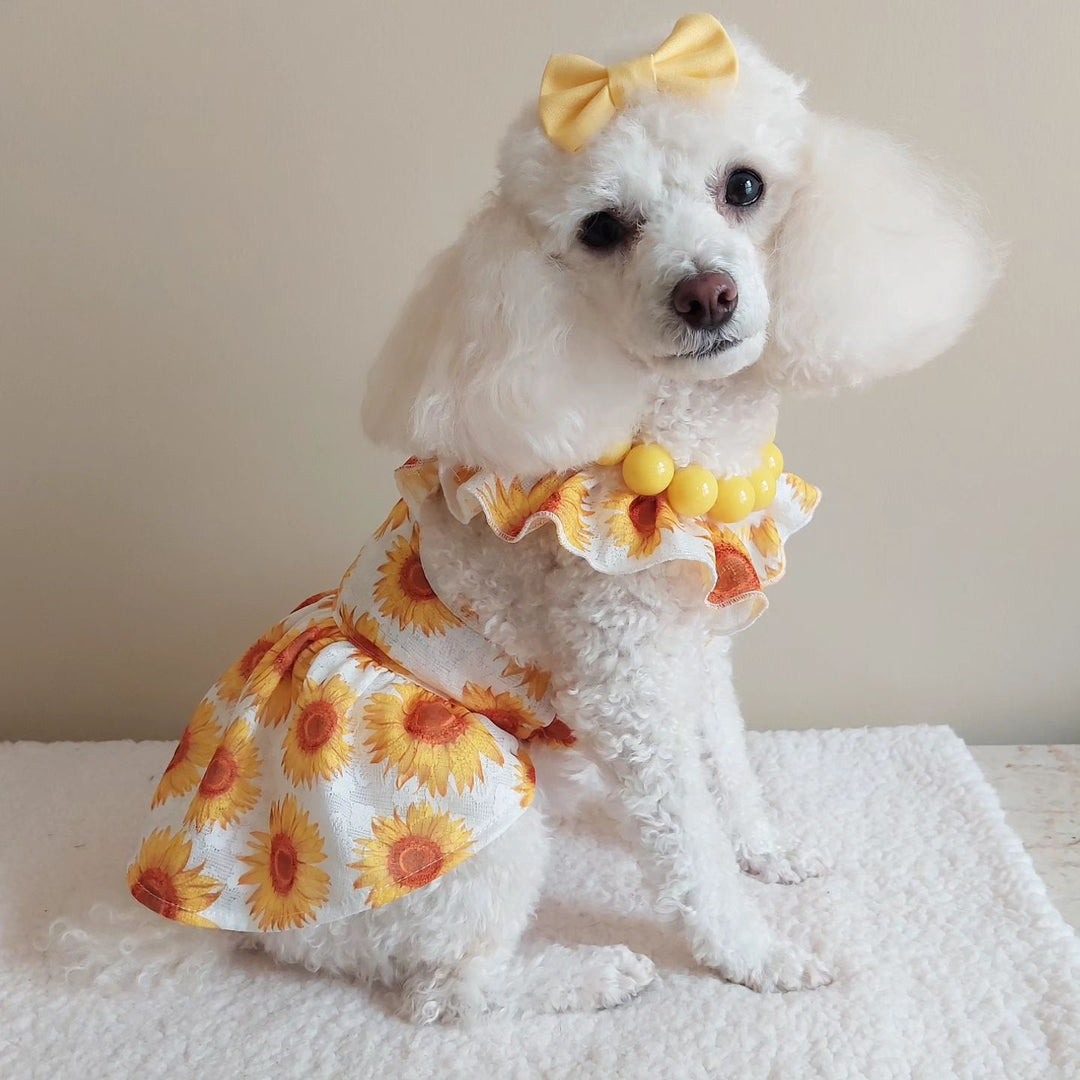 Poodle Dress - Poodle Clothes - Fitwarm