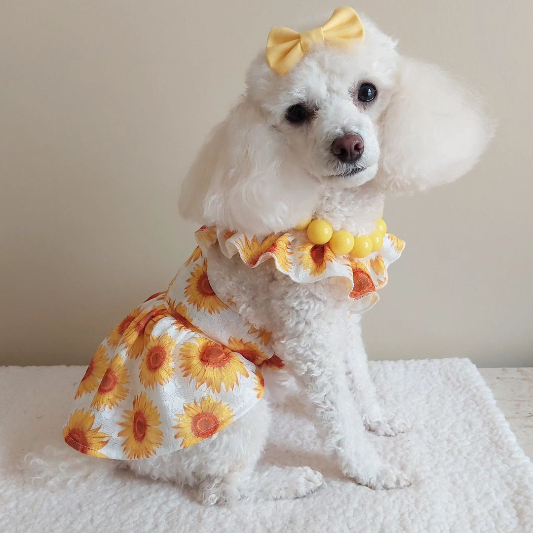 Poodle Clothes | Fitwarm Page 6 Poodle Clothes | Fitwarm Page 6