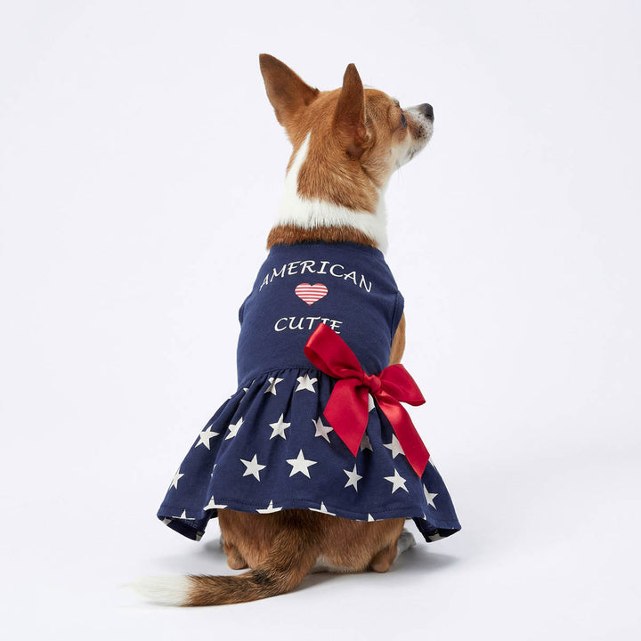 Back of dog wearing a 4th of July dog dress with 'American Cutie' lettering