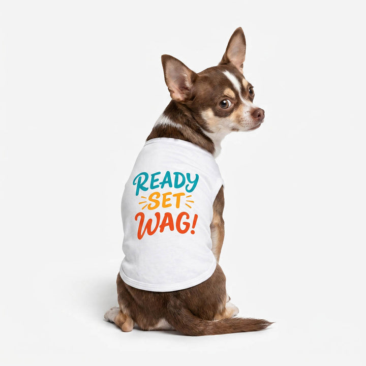 Back view of Chihuahua wearing a white shirt for dogs in 'Ready Set Wag' lettering