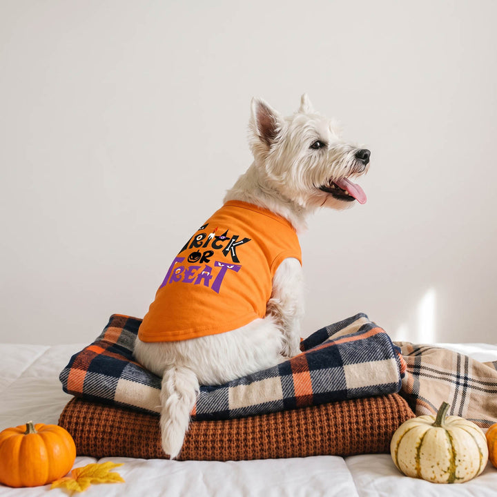 Westie dog sits on folded blankets wearing an orange dog tank top with 'Halloween or Great' printed in black and purple
