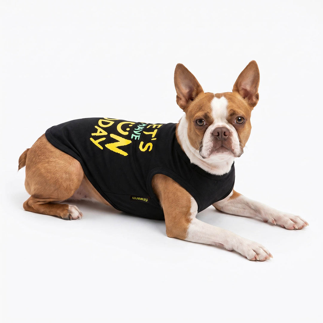 Boston Terrier dog lying down on a white studio background, wearing a black sleeveless dog shirt with yellow 'Let's have fun today' lettering