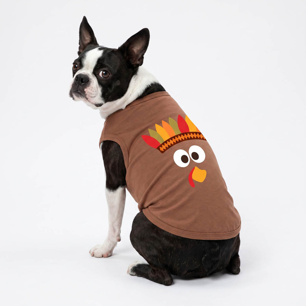 Boston Terrier dog wearing a brown sleeveless shirt for dogs with a cartoon turkey face and feather hat graphic, posed against a clean white studio background