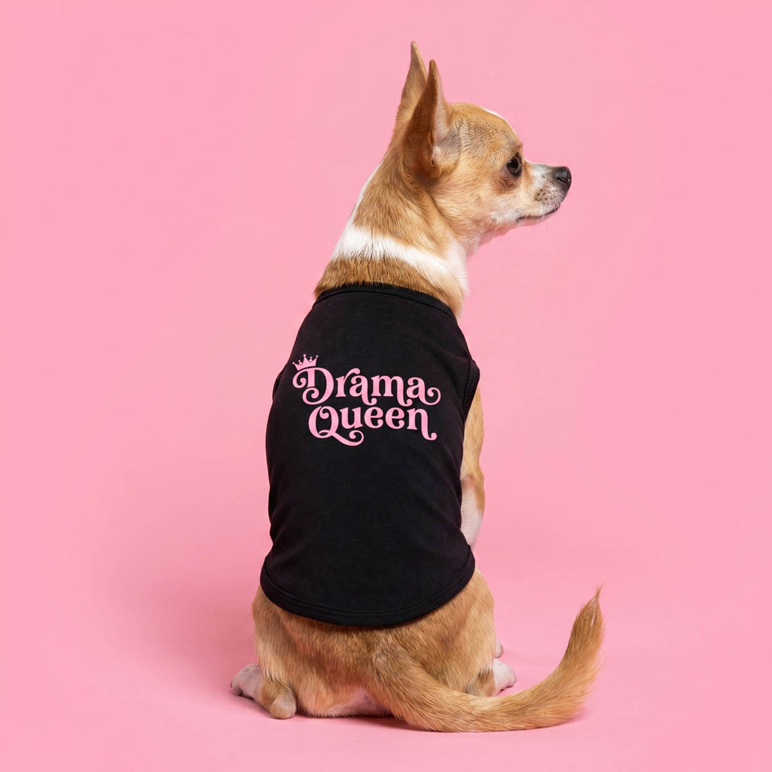 Chihuahua wearing a black dog t shirt in a pink background