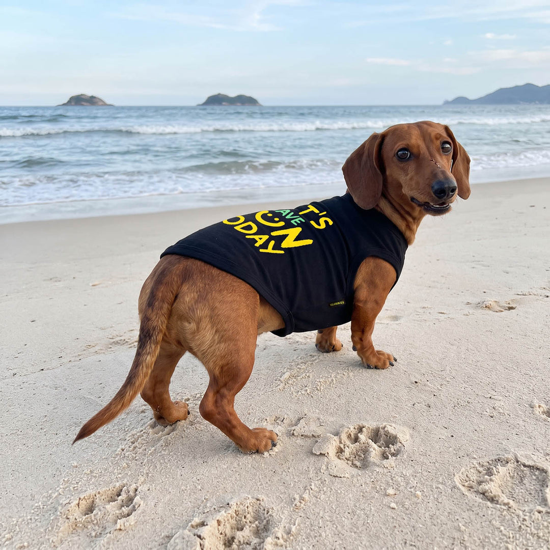 Dachshund standing on the beach with a black dog top designed in 'Let's have fun today' lettering
