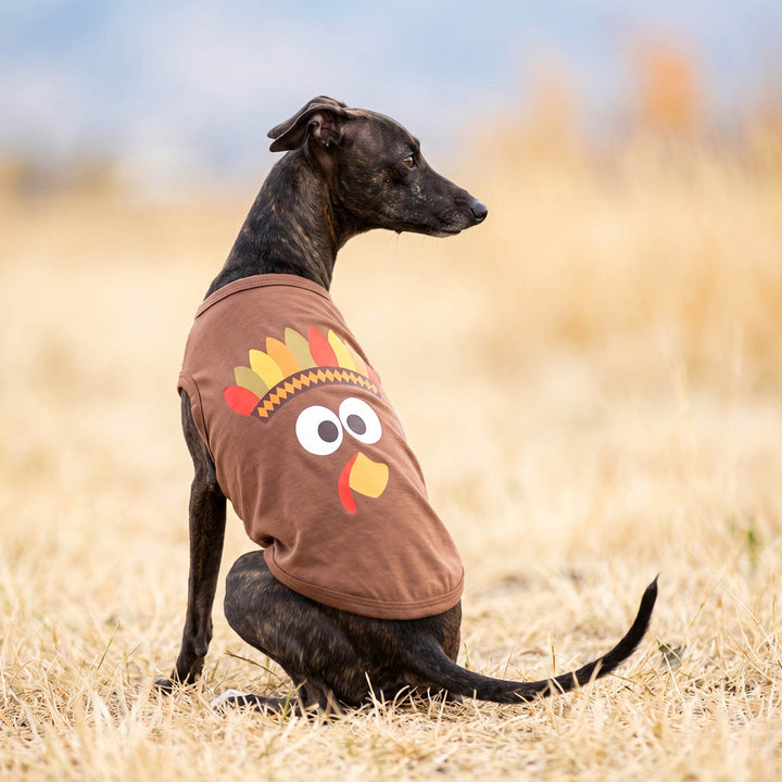 Black dog wearing a brown dog t-shirt with a cartoon turkey face and feather pattern, sitting in a field of dry grass