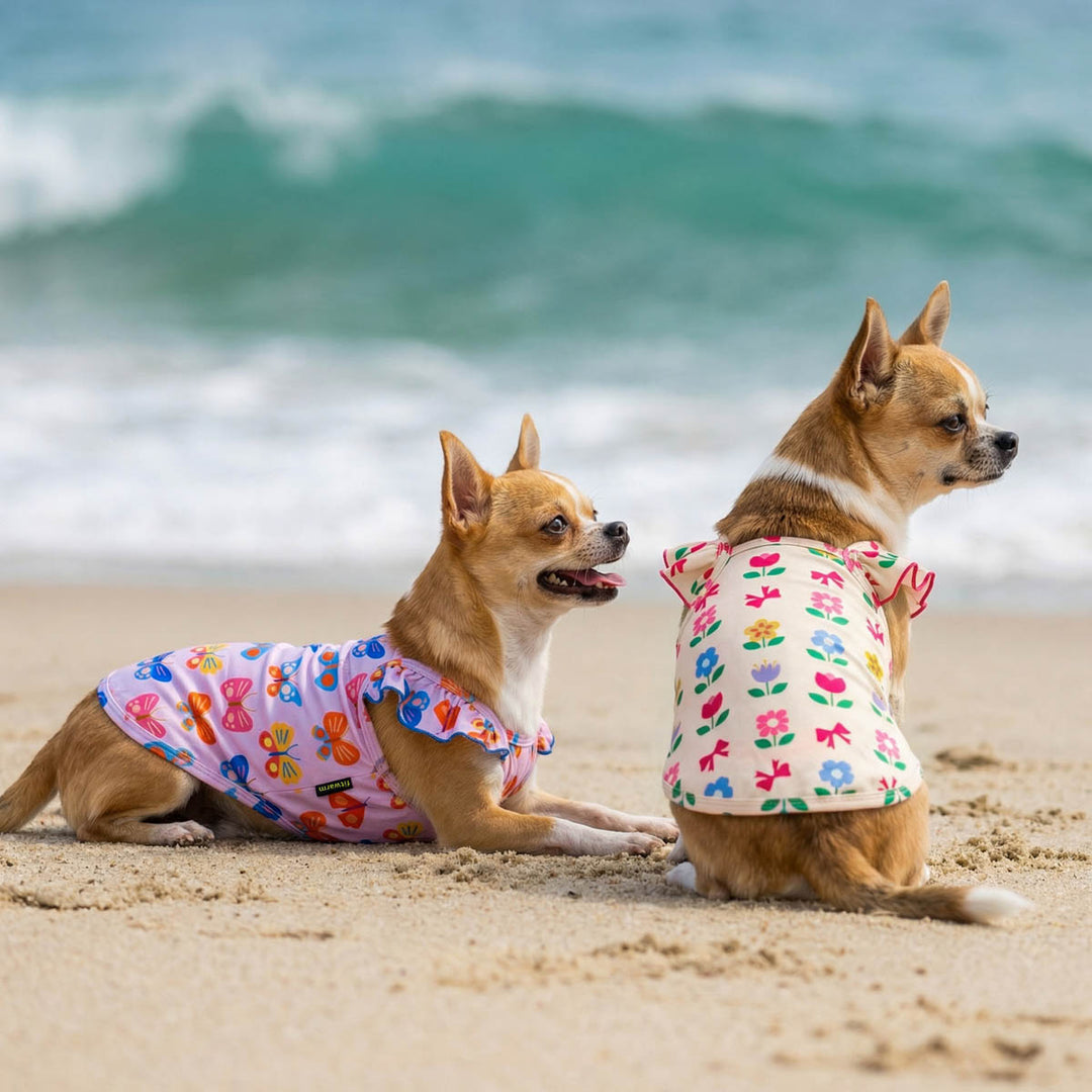 Two dogs on a beach wearing colorful dog shirts with ocean waves in the background