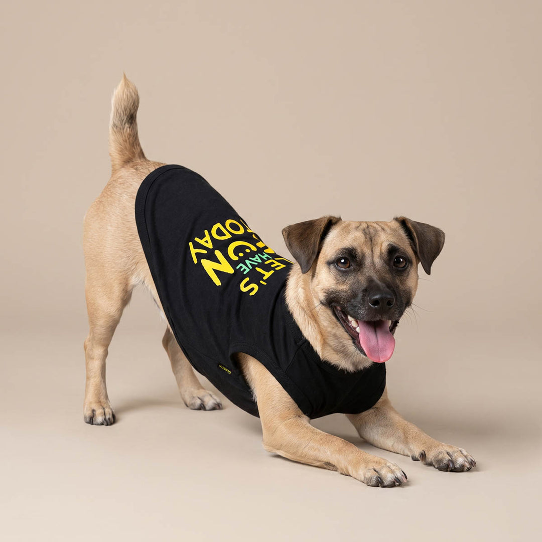 Dog wearing a black dog t-shirt with yellow text that reads 'Let's have fun Today' and doing a play bow on a solid beige studio background