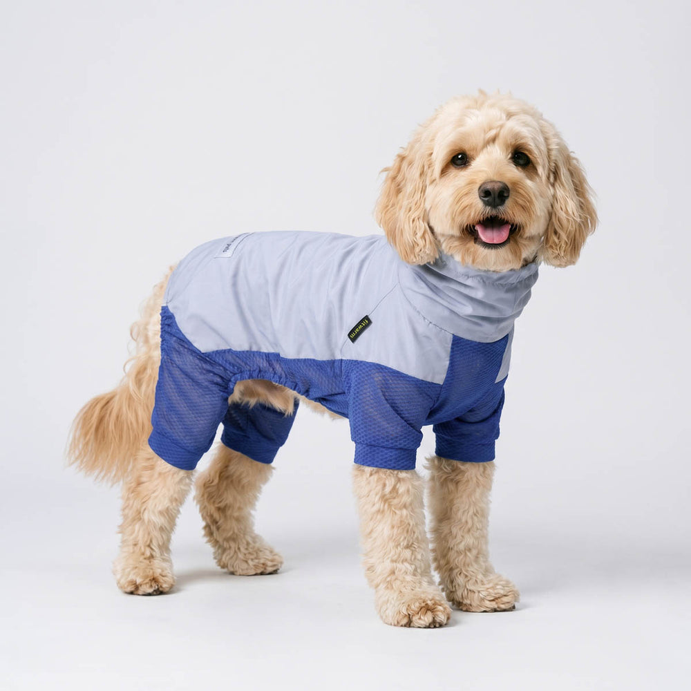 Dog wearing a lightweight sun protection dog jumpsuit