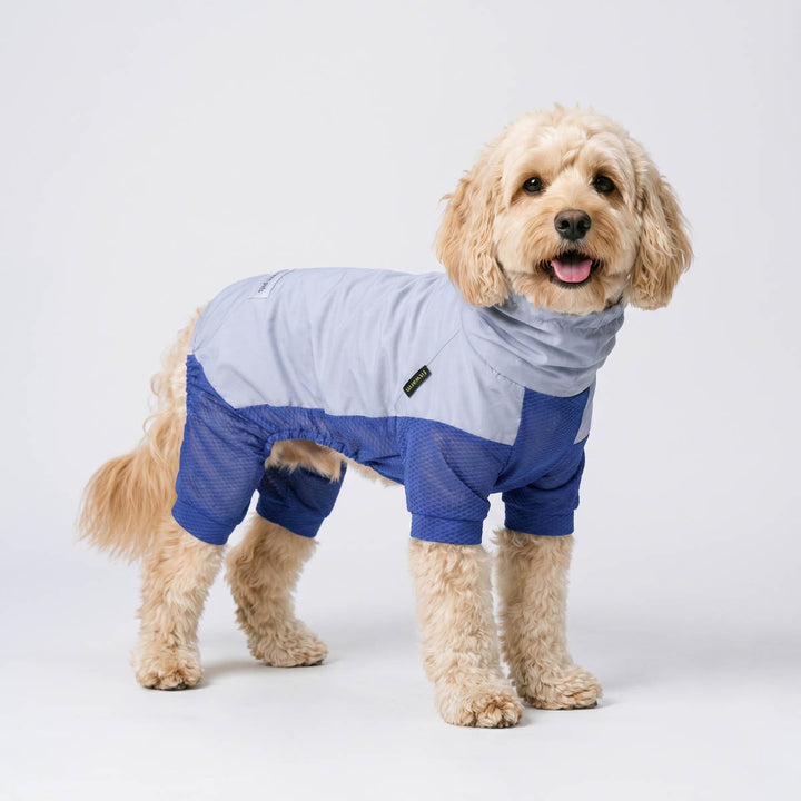 Dog wearing a lightweight sun protection dog jumpsuit