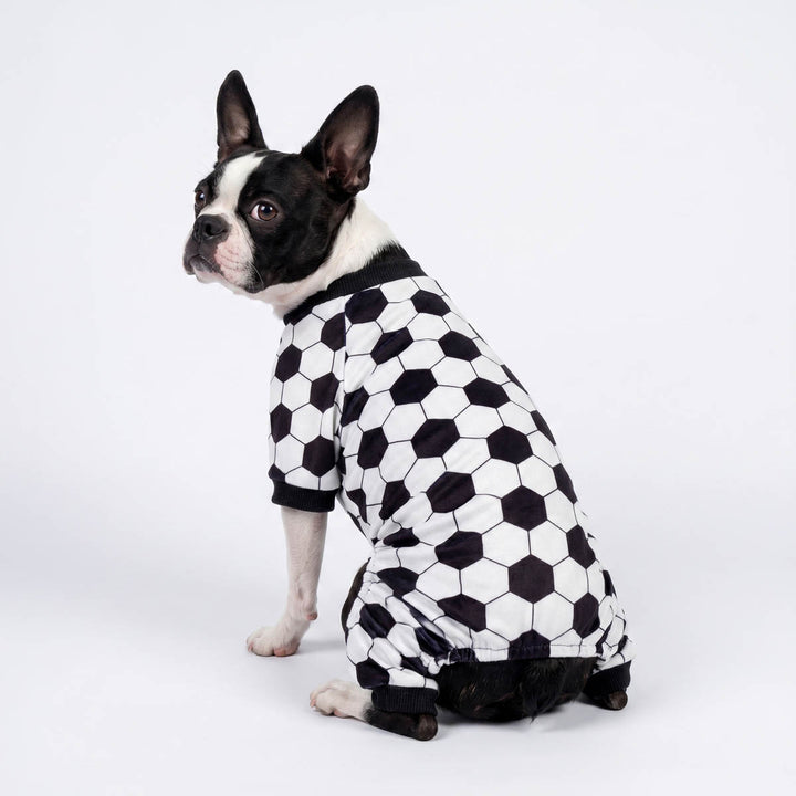 Boston Terrier sitting in a white background with a funny soccer prints dog onesie