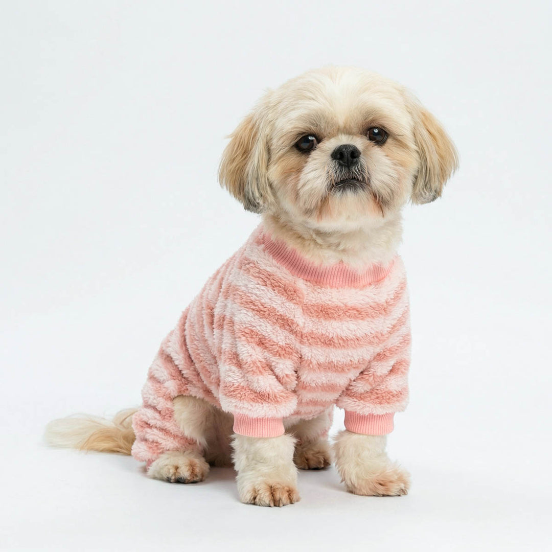 Small dog sitting with pink striped dog onesie