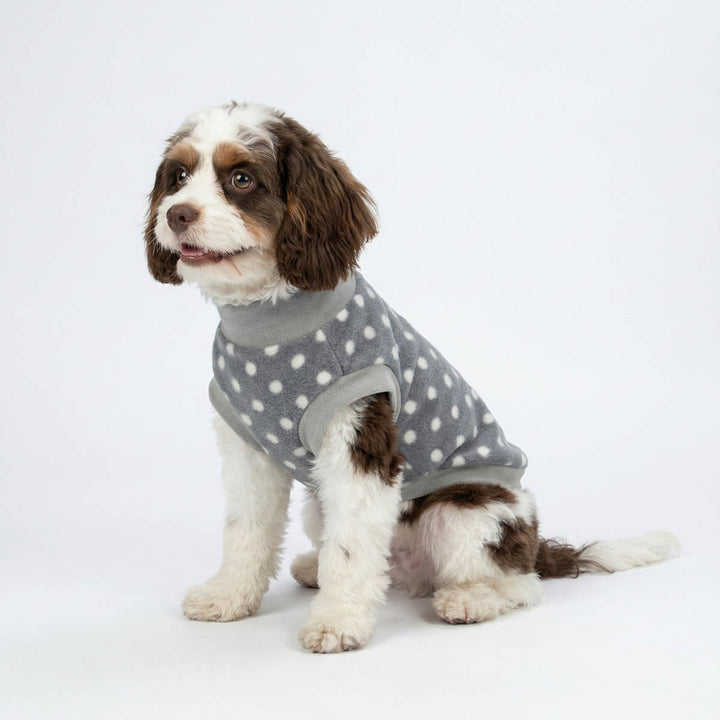 Cute dog wearing a dog fleece sweater with polka dot design