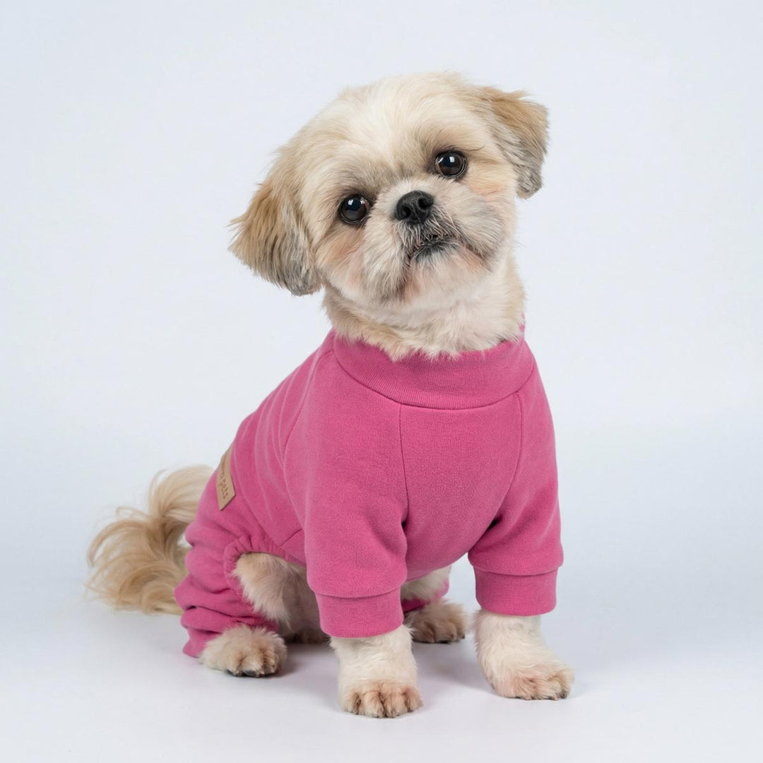 Small dog titling its head with a four leg dog pjs