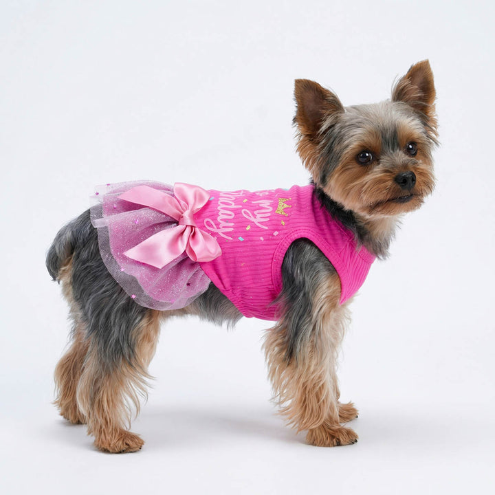 Yorkie standing with a adorable pink dog birthday dress decorated with bow and tutu skirt