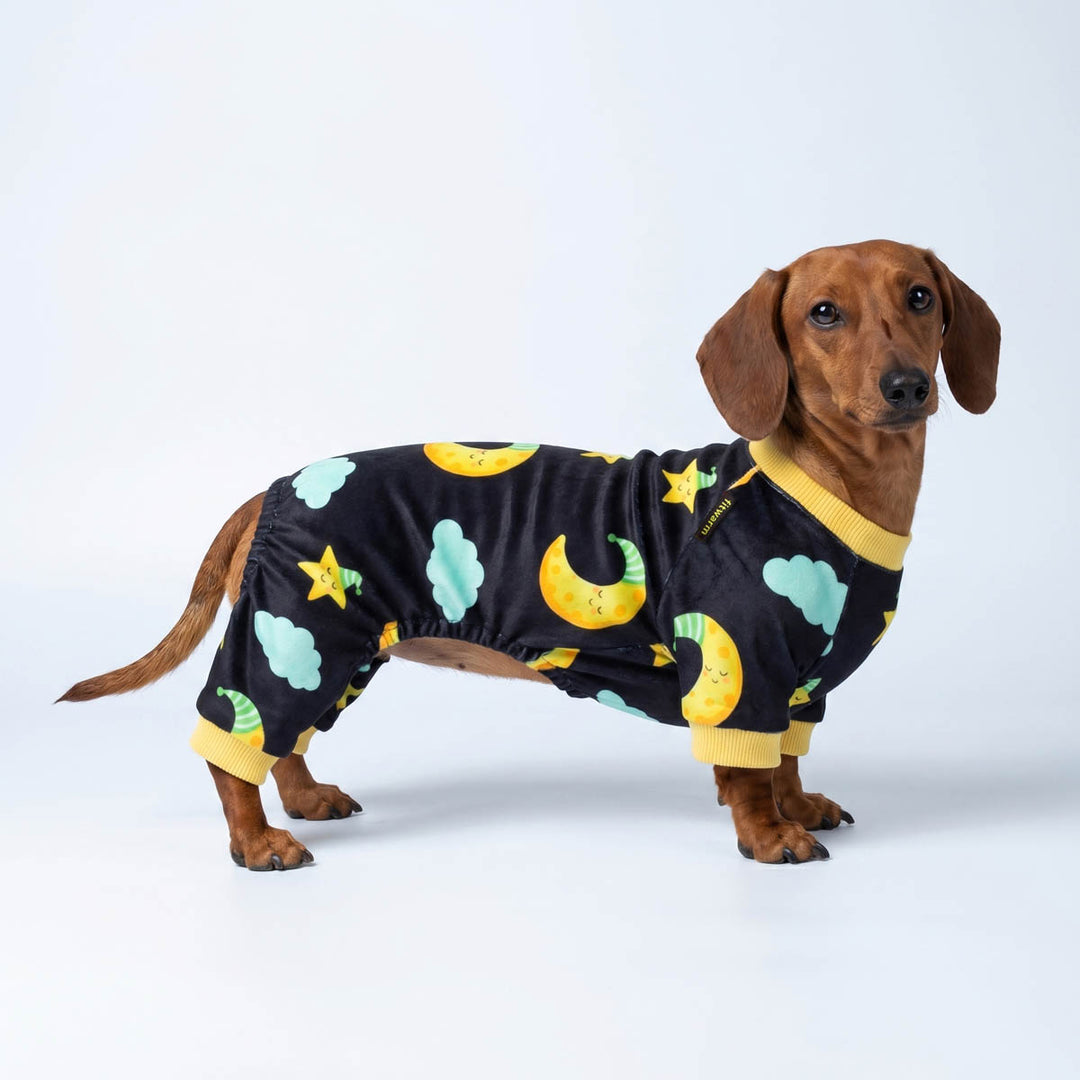 Dachshund standing on a white background with a moon and star dog pjs