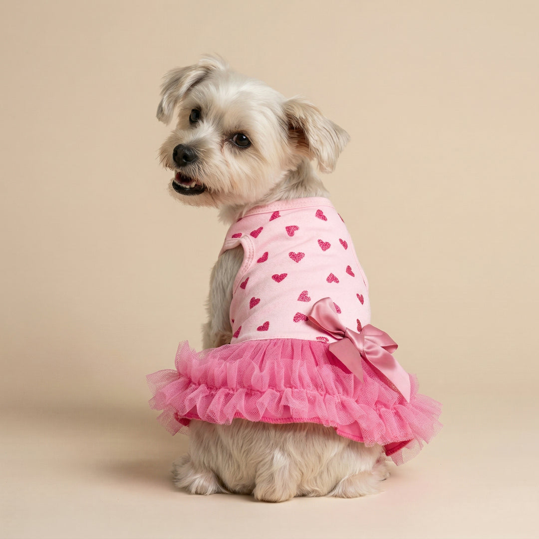 Small dog looks back in a dog tulle dress with sparkly heart and bow