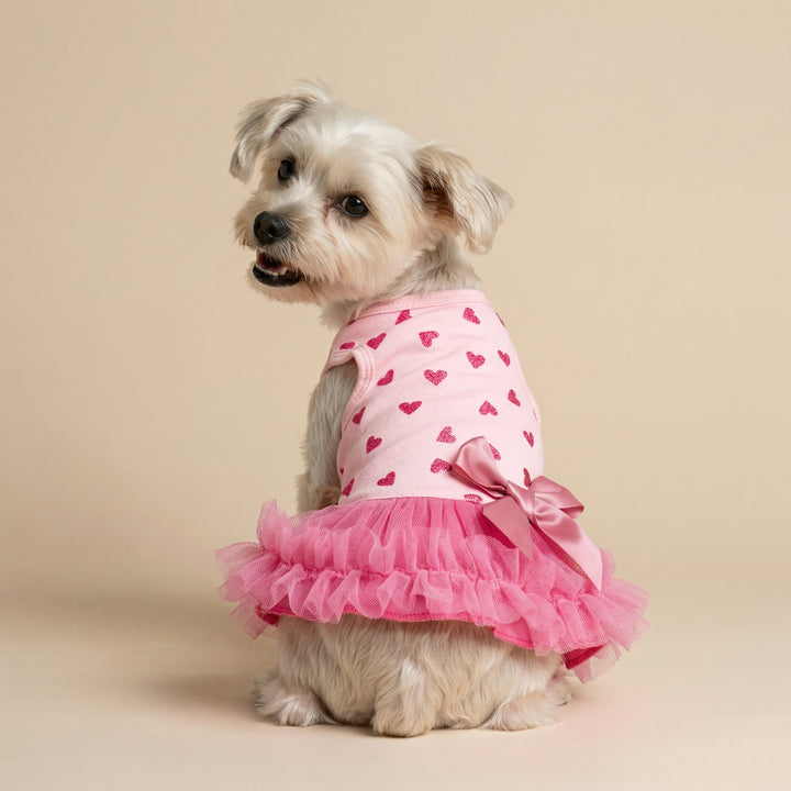 Small dog looks back in a dog tulle dress with sparkly heart and bow