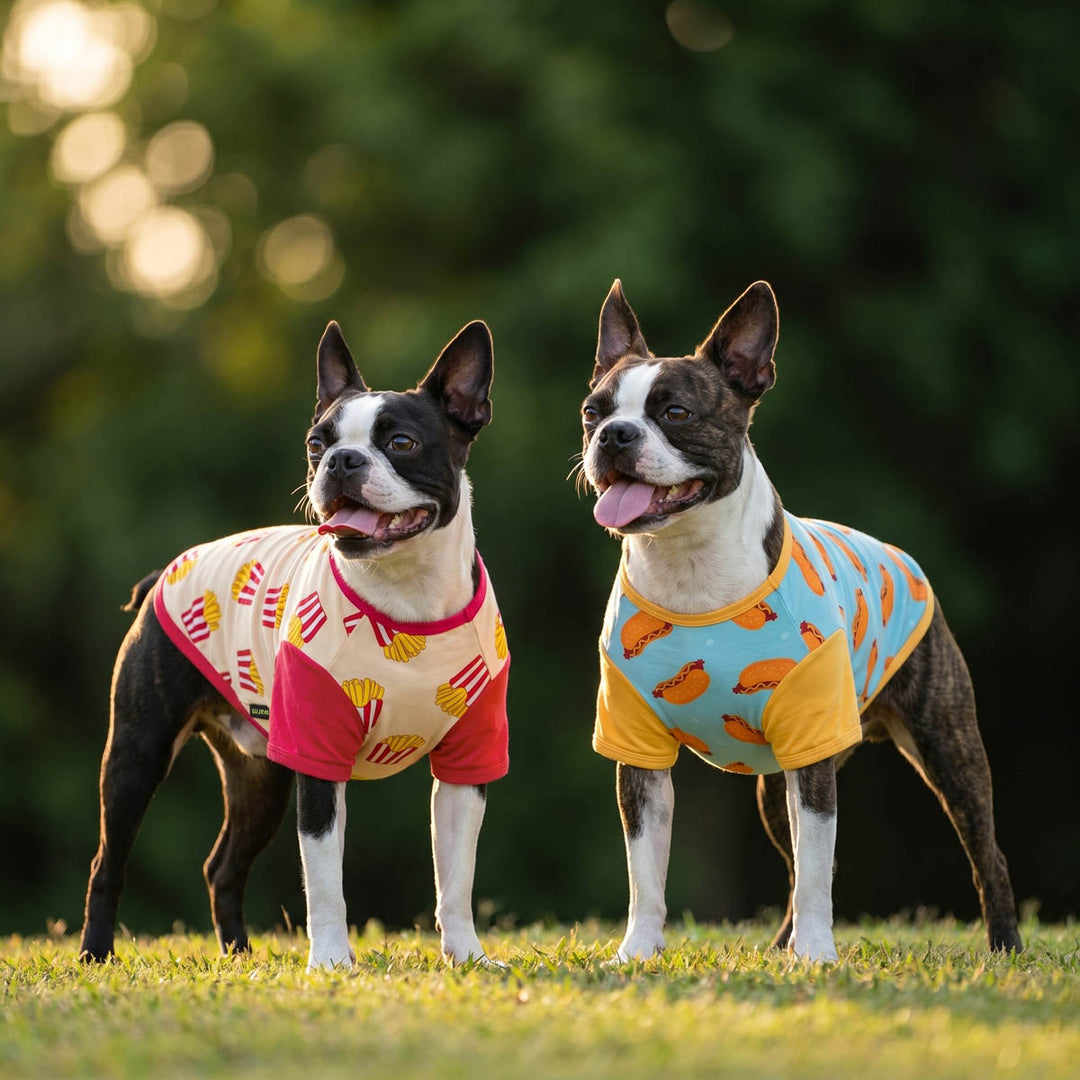 Two dogs wearing fast food themed dog t-shirts standing on grass with a blurred natural background