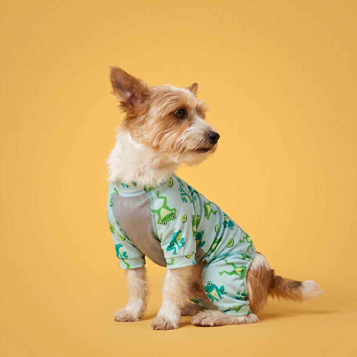 Dog wearing a green frog patterned uv onesie for dogs on a yellow background