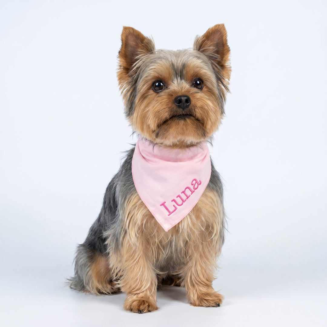 Small dog wearing a pink embroidered bandana for dogs with 'Luna' on a white background