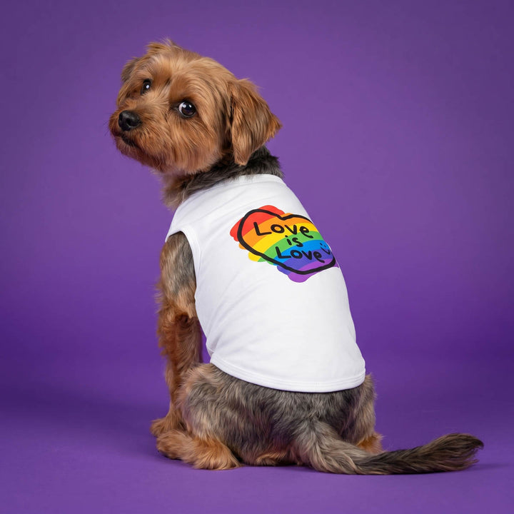 Dog wearing a white dog tshirt with a rainbow heart and 'Love is Love' text on a purple background