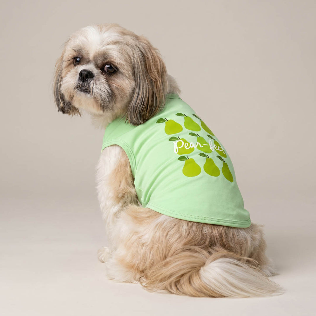 Small dog wearing a green dog t-shirt with pear design on a beige background