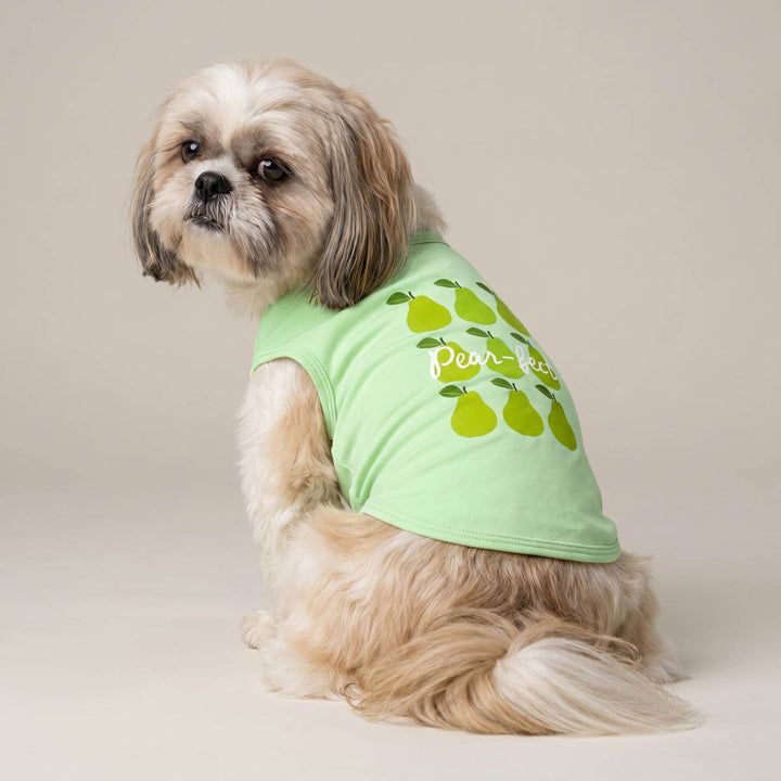 Small dog wearing a green dog t-shirt with pear design on a beige background