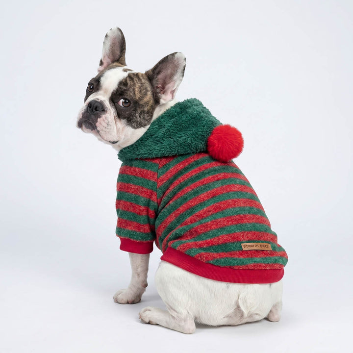 French Bulldog sitting on a white background with a Christmas themed red and green striped pom pom dog hoodie