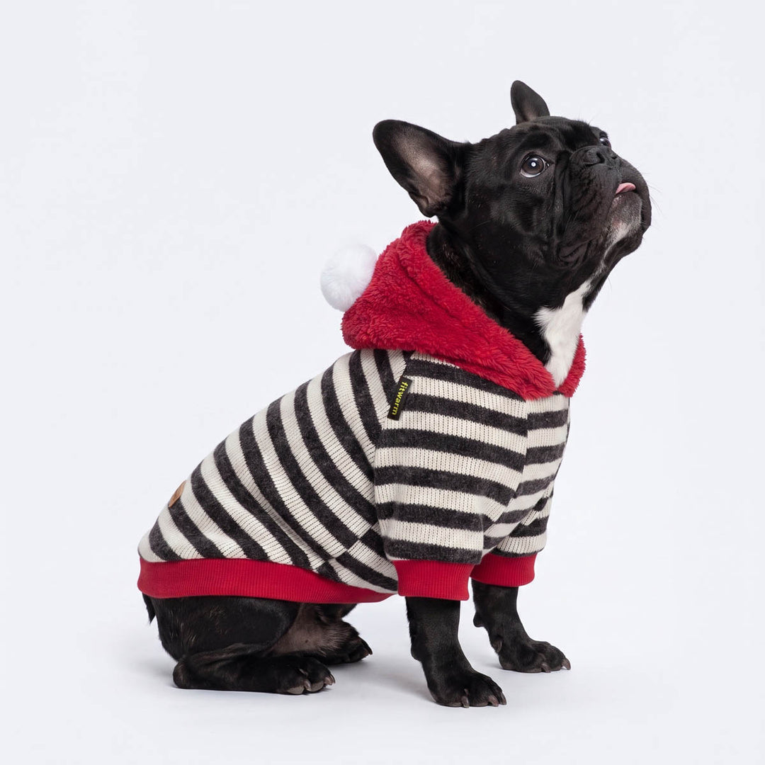 French Bulldog sitting on a white background in a classic dog striped hoodie