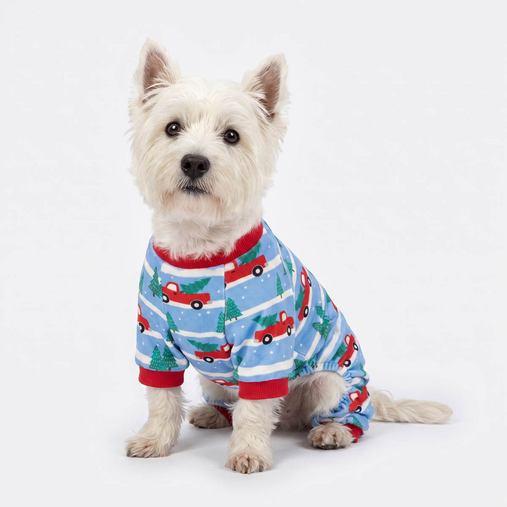 Small westie wearing a blue holiday-themed pajama for dogs with red truck and tree patterns