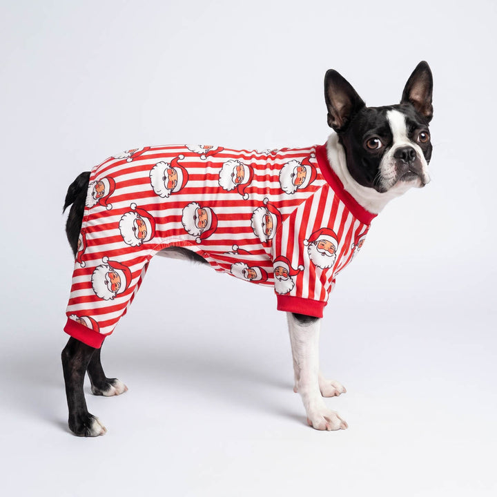 Boston Terrier dog wearing red and white dog striped pajamas with a Santa Claus face pattern, standing against a light gray studio background