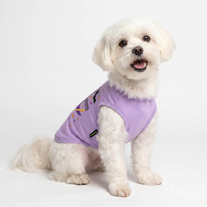 Small white dog wearing a lavender purple sleeveless dog tank top with a graphic print, sitting against a plain white studio background