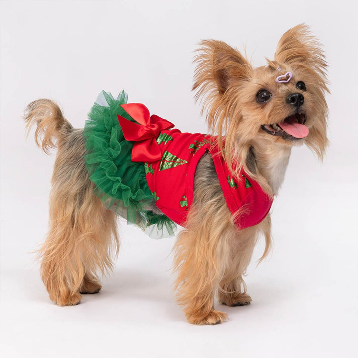 Cute dog dressed in festive Christmas dog dress featuring shiny green trees and layered tulle skirt
