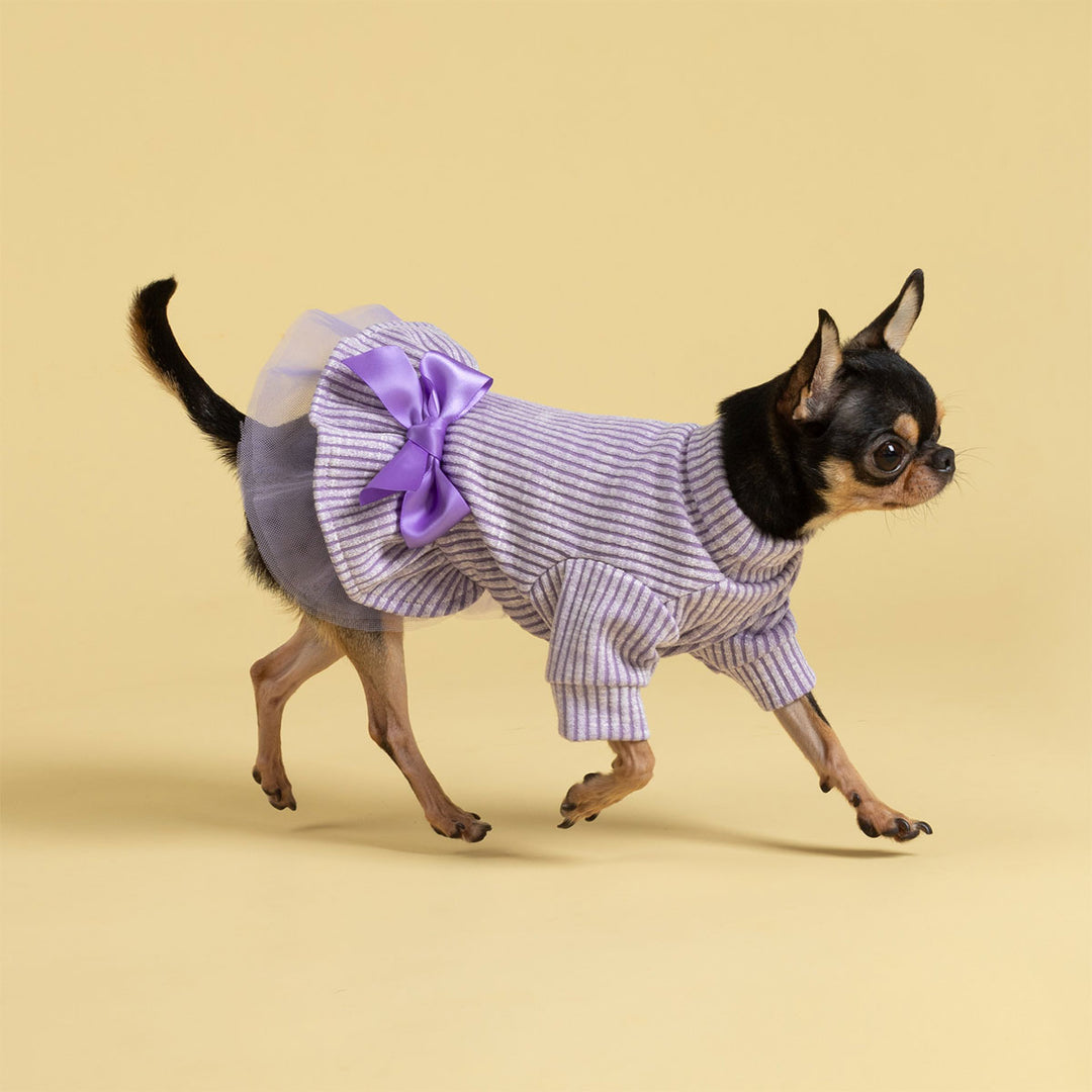 Dog dressed in a knitted dog dress featuring stripes and a decorative purple bow