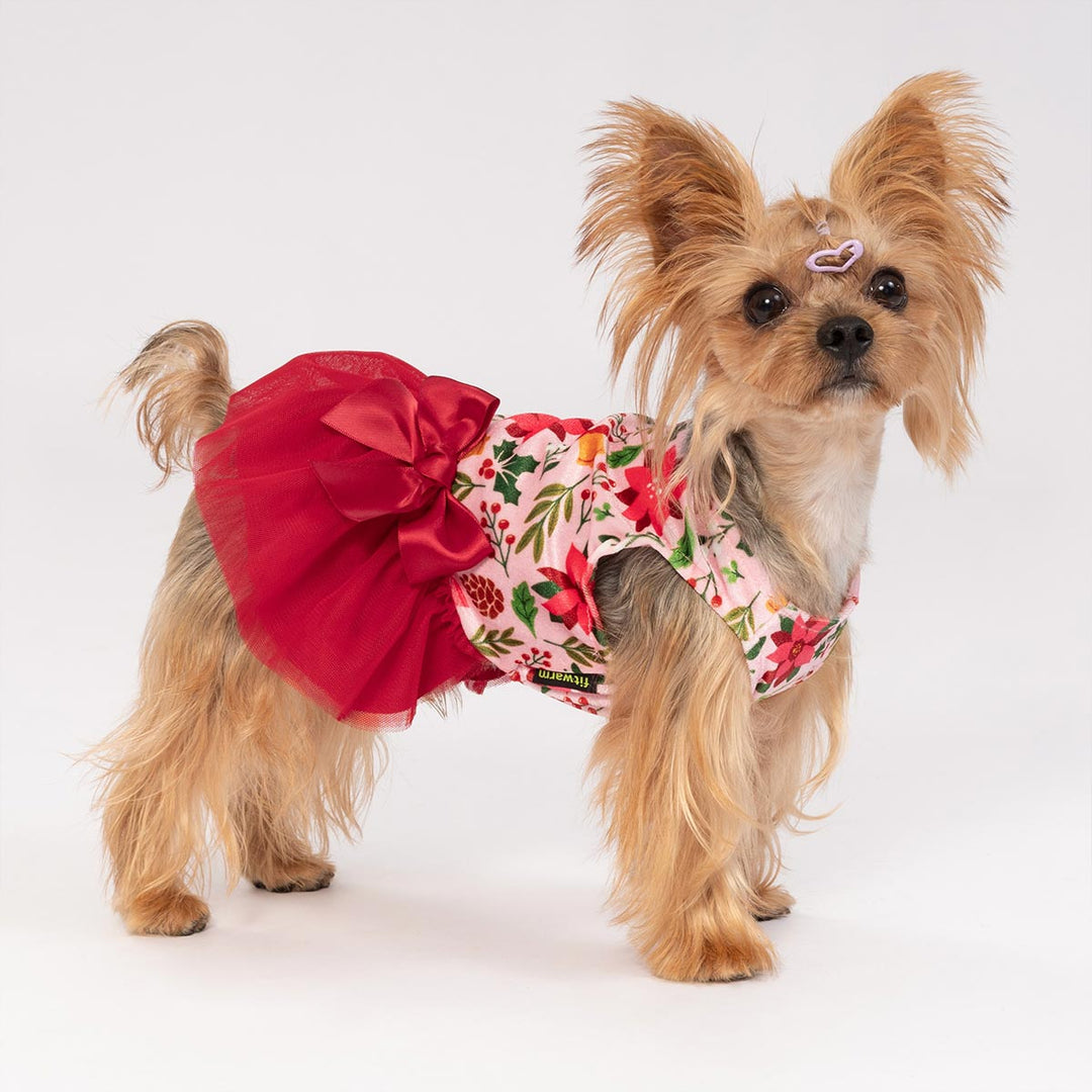 Dog wearing a festive Christmas dog dress with red florals and a tulle skirt