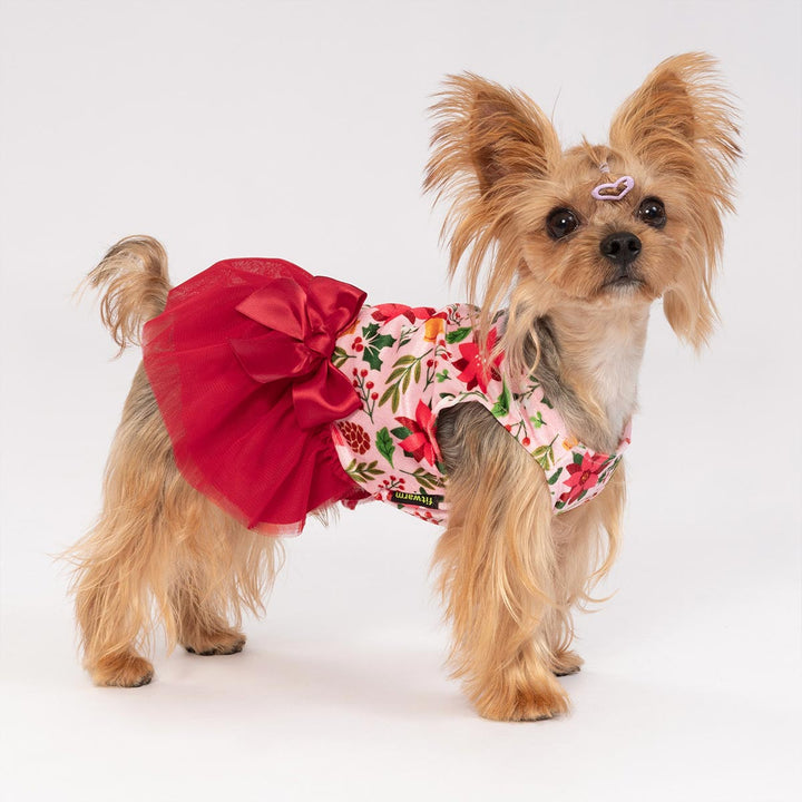 Dog wearing a festive Christmas dog dress with red florals and a tulle skirt