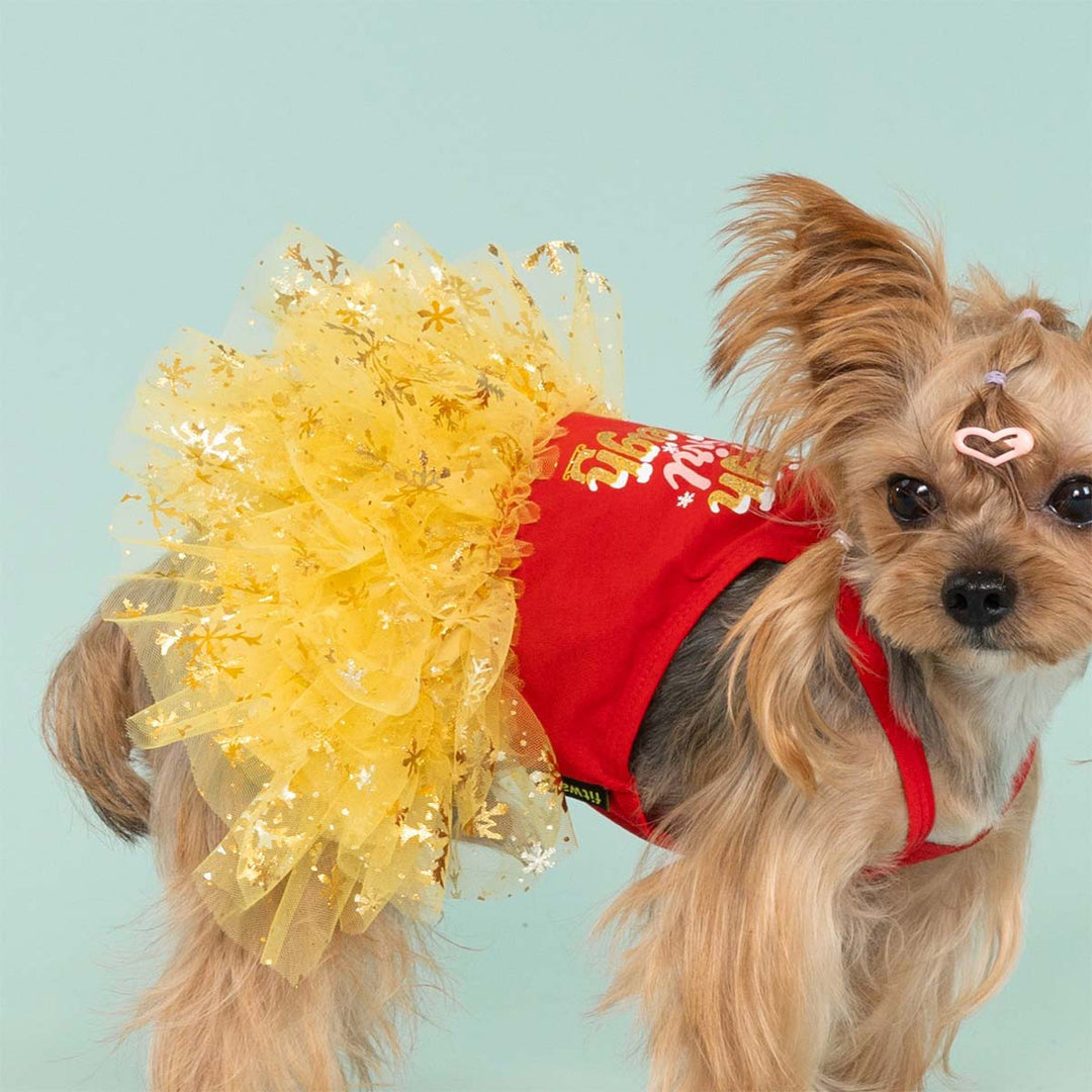 Dog posing in a holiday Christmas dog dress with a sparkling yellow tulle skirt and red trim