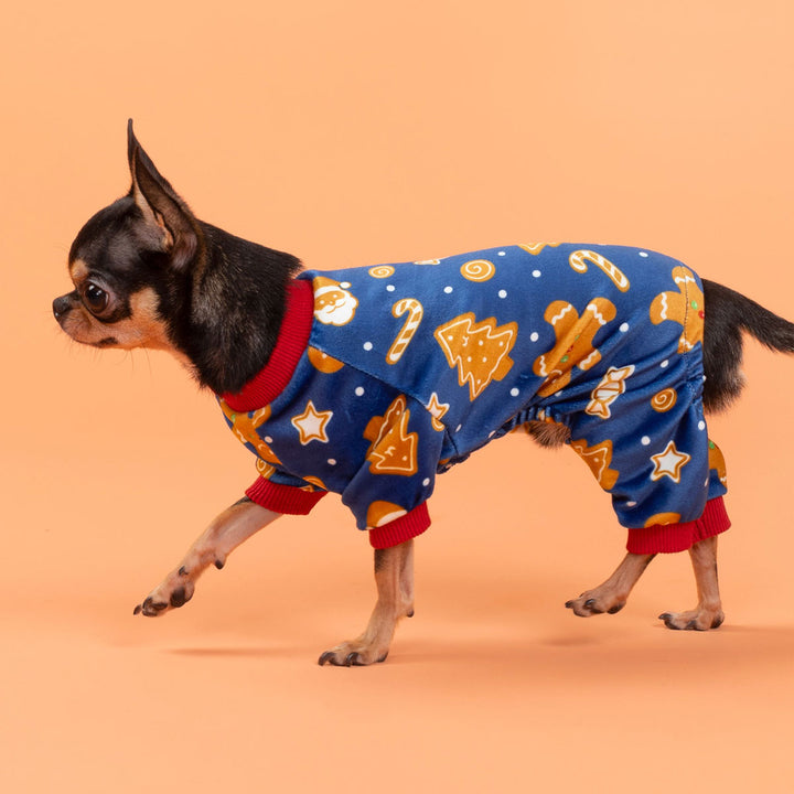 Festive Chihuahua wearing Christmas-themed dog onesie decorated with gingerbread men and Christmas trees